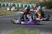 DSC (1185)